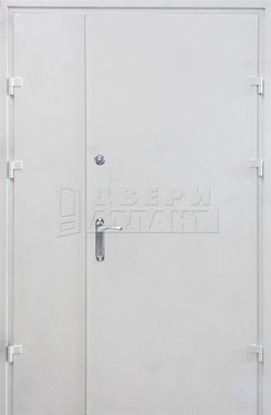 Дверь Порошковое термонапыление и МДФ ДС-09